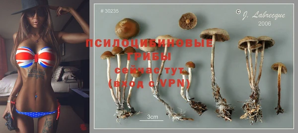 бутират Зеленокумск