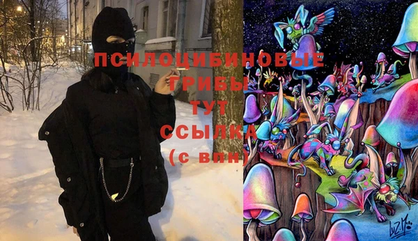 гидра Зерноград